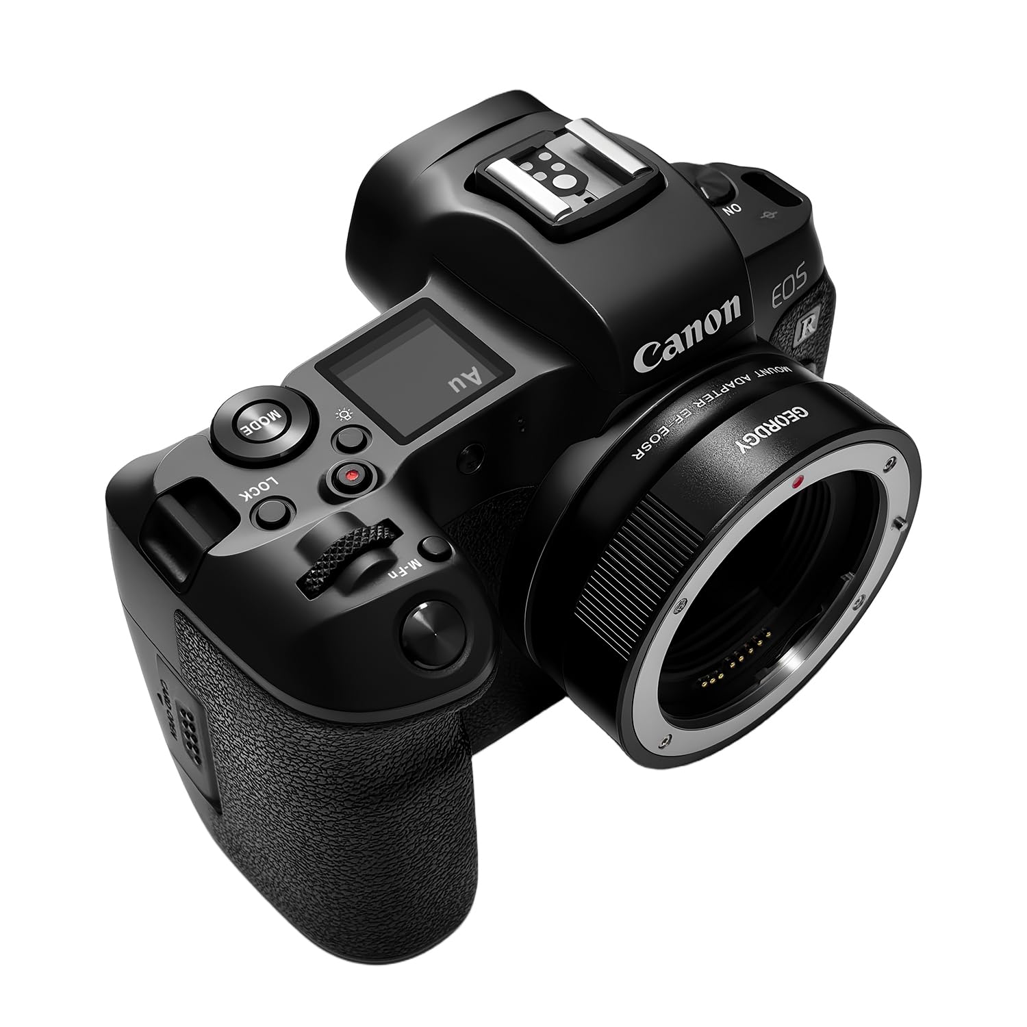 Amazon.com : EF-EOS R Adapter for Canon EF/EF-S Lenses and Canon